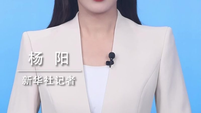 人工智能训练芯片：参数解析与性能对比**